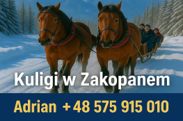 Kuligi Zakopane 