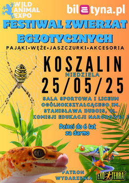 Koszalin Wydarzenie Targi Wild Animal Expo – Festiwal Zwierząt Egzotycznych w Koszalinie! - 25-05-2025