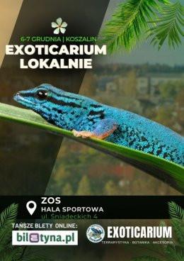 Koszalin Wydarzenie Targi EXOTICARIUM LOKALNIE Targi Terrarystyczne Koszalin dwudniowe 6-7 grudnia