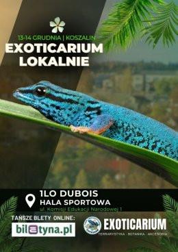 Koszalin Wydarzenie Targi EXOTICARIUM LOKALNIE Targi Terrarystyczne Koszalin dwudniowe 13-14 grudnia